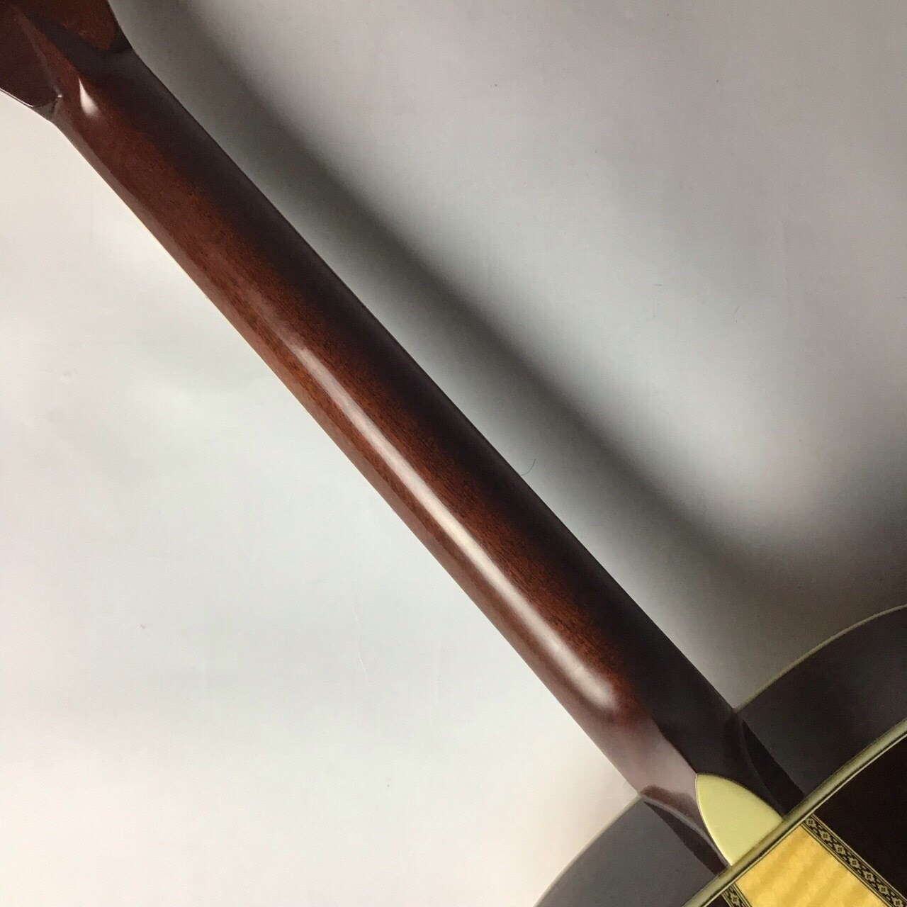 USEDアコギ】Morris(モーリス)TF-805L入荷しました！｜島村楽器 イオン