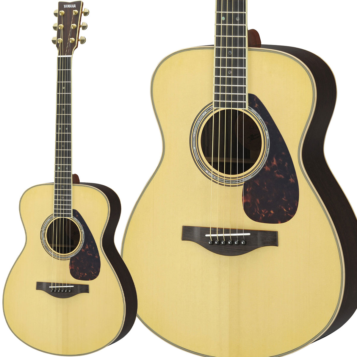 富士見店スタッフのおすすめエレアコギター特集！｜島村楽器