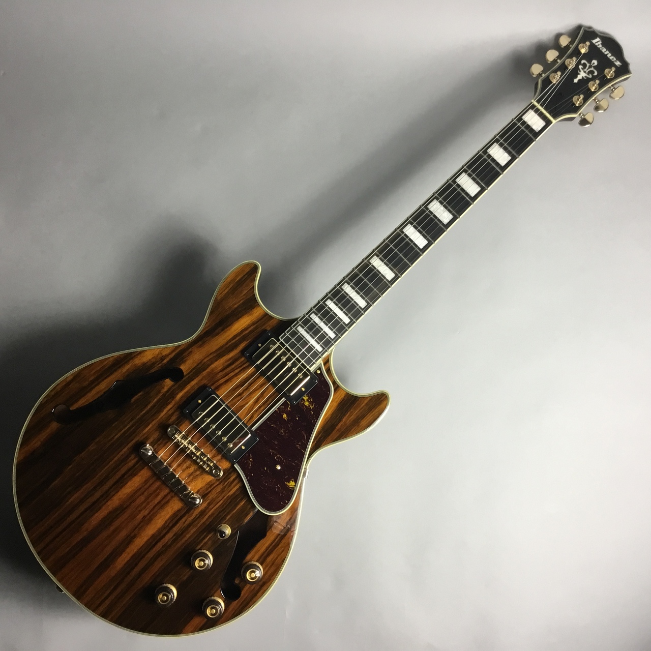 エレキギター】セミアコタイプラインナップ【セレオ国分寺店】｜島村