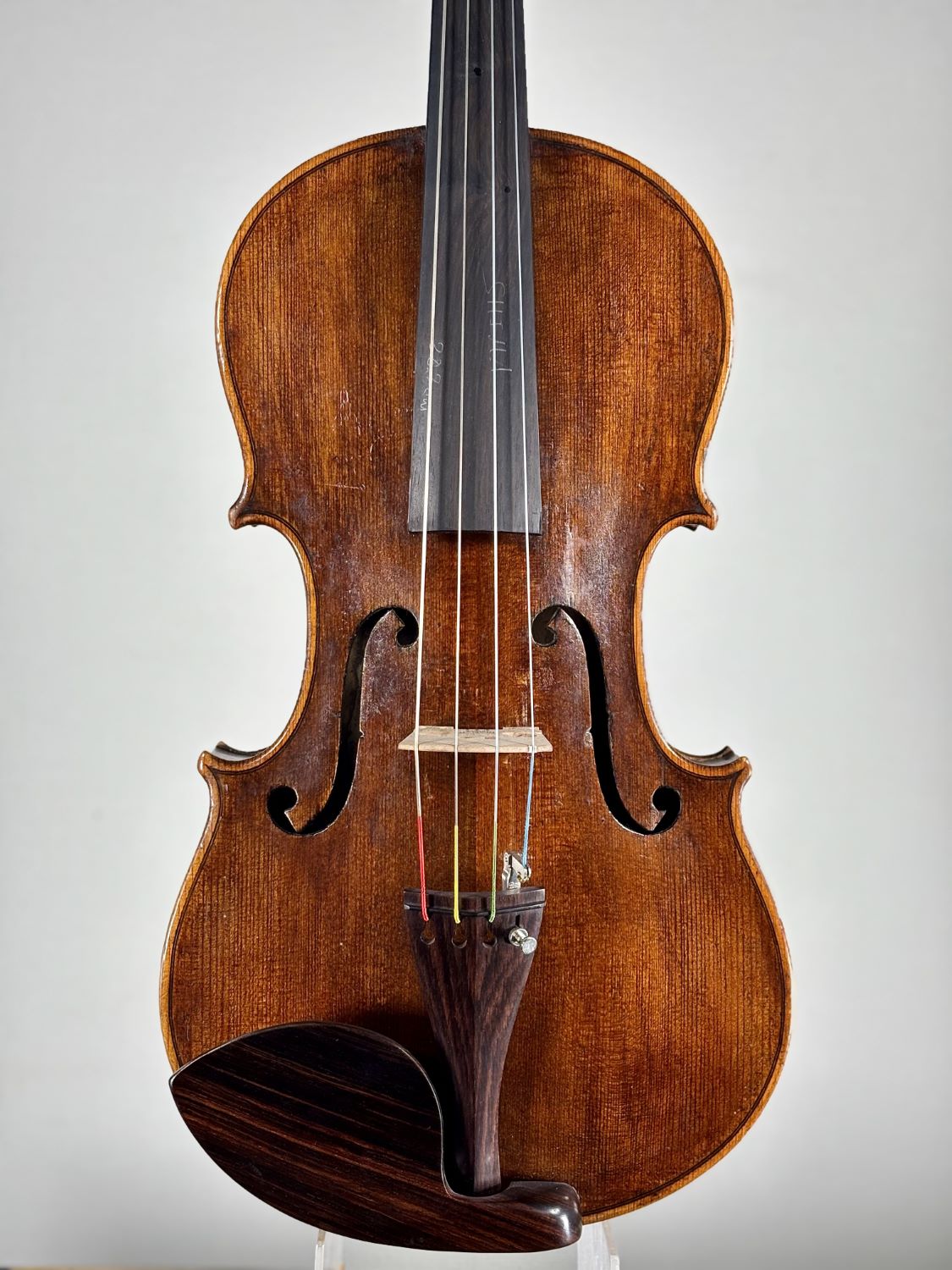 第38回弦楽器フェスタ】鹿児島会場ラインナップ｜島村楽器 アミュ