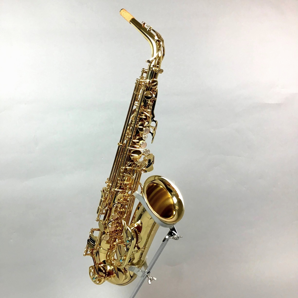 サックス】YANAGISAWA人気商品A-WO1入荷しました！｜島村楽器 イオン