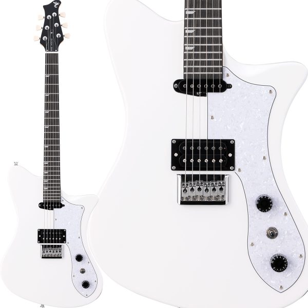 最初の一本にオススメ】Ryogaのエレキギターラインナップをご紹介