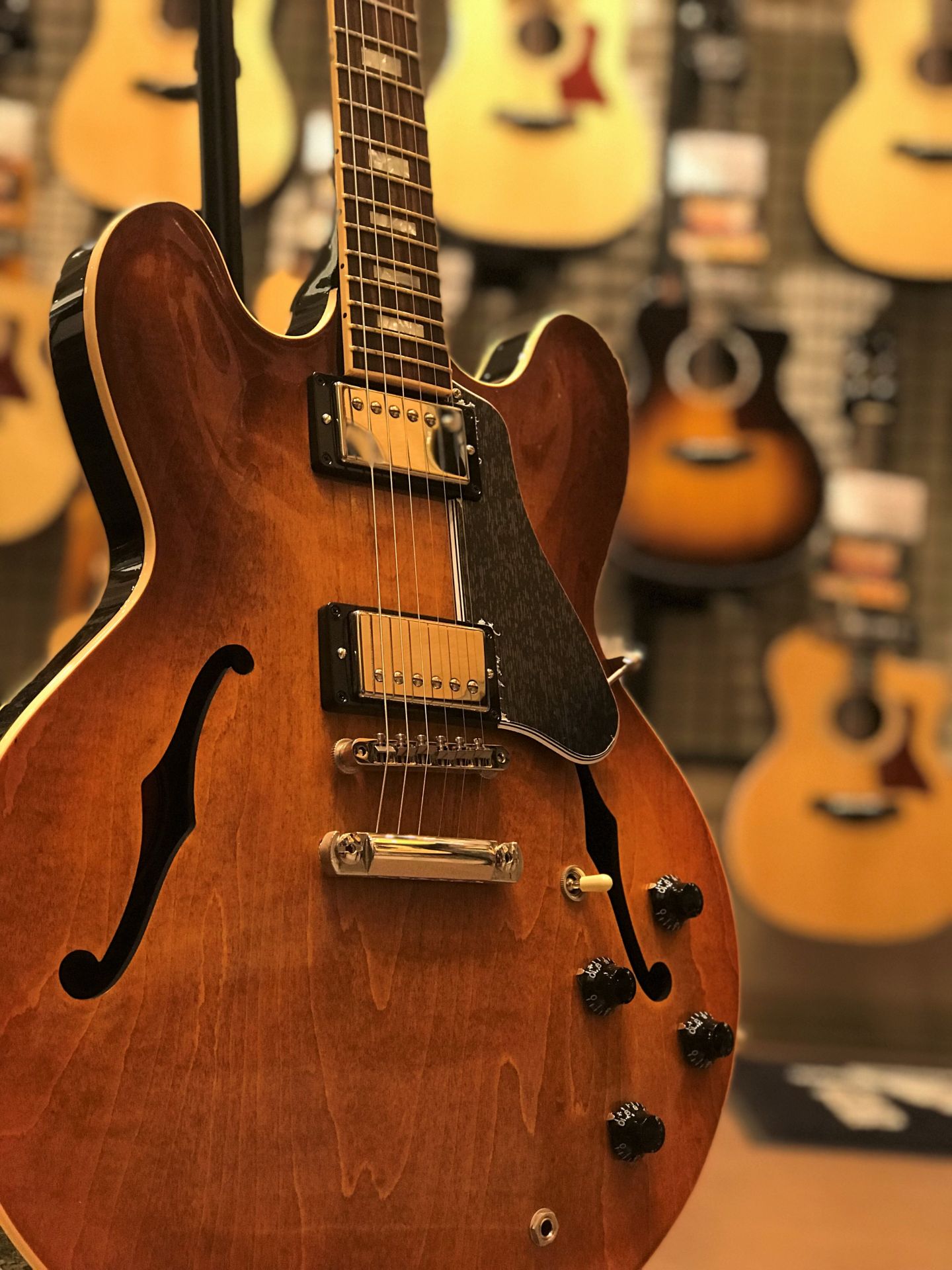 エレキギター】展示ホロウボディギターのラインナップご紹介！！｜島村