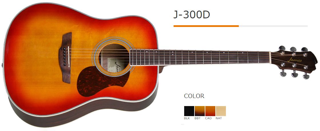 徹底解剖】James -ジェームス- アコースティックギターが初心者に