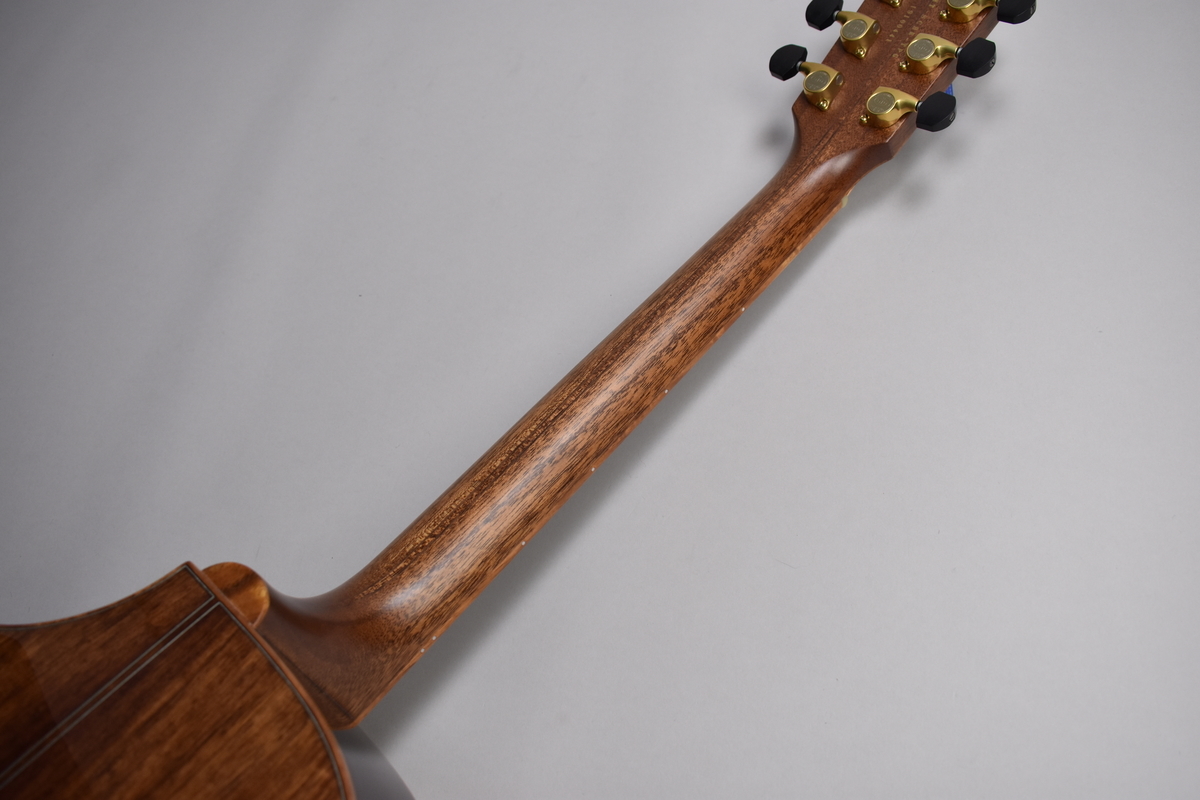 HISTORY 25周年限定モデル アコースティックギターで2モデル登場