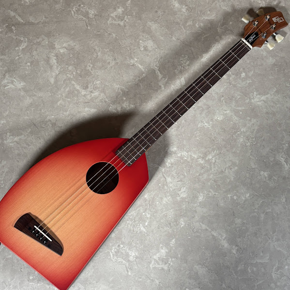 はじめての楽器に、「一期一会」｜島村楽器 イオンモール岡崎店