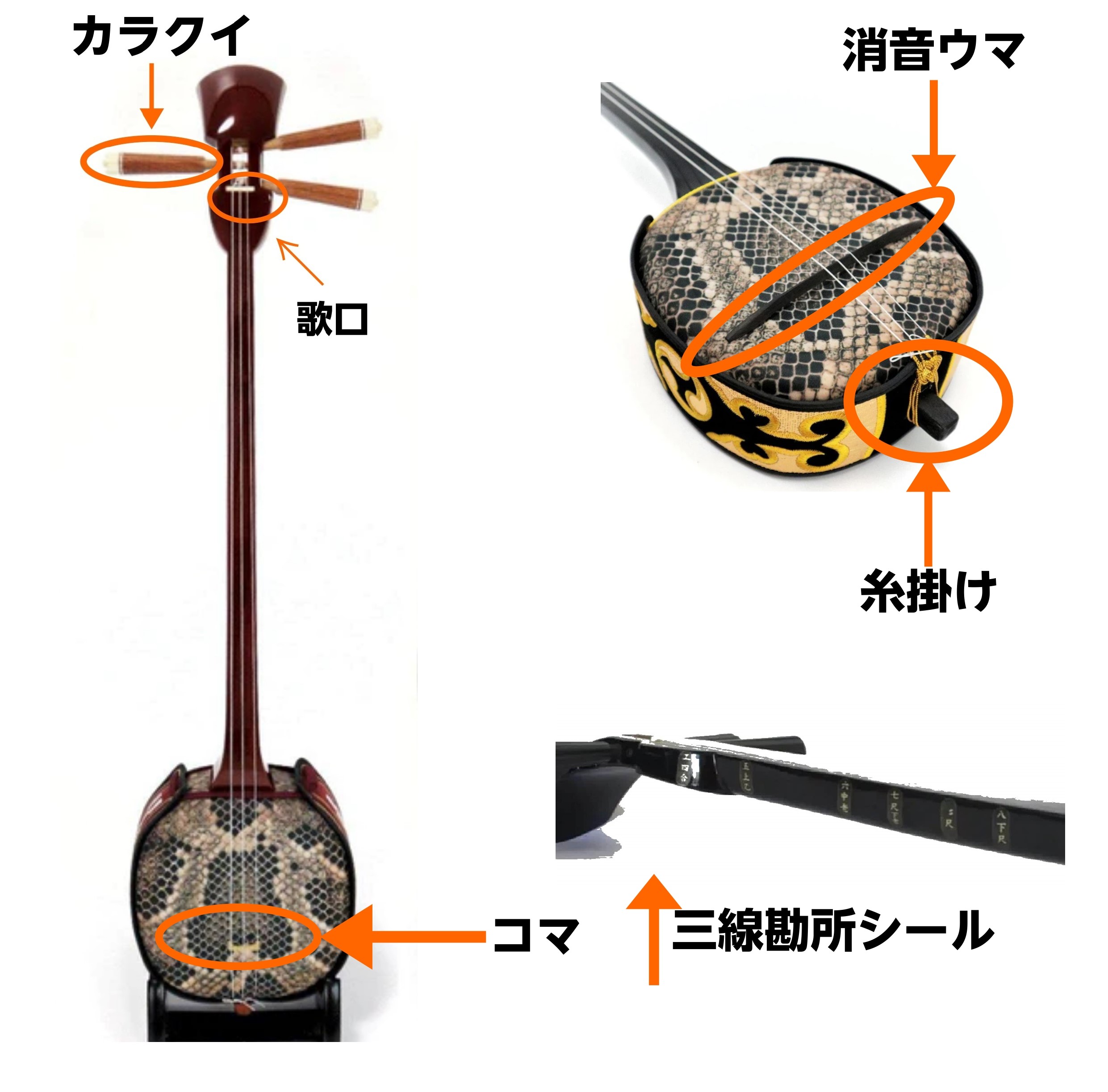 沖縄三線、始めてみませんか？｜島村楽器 イオンモール沖縄ライカム店