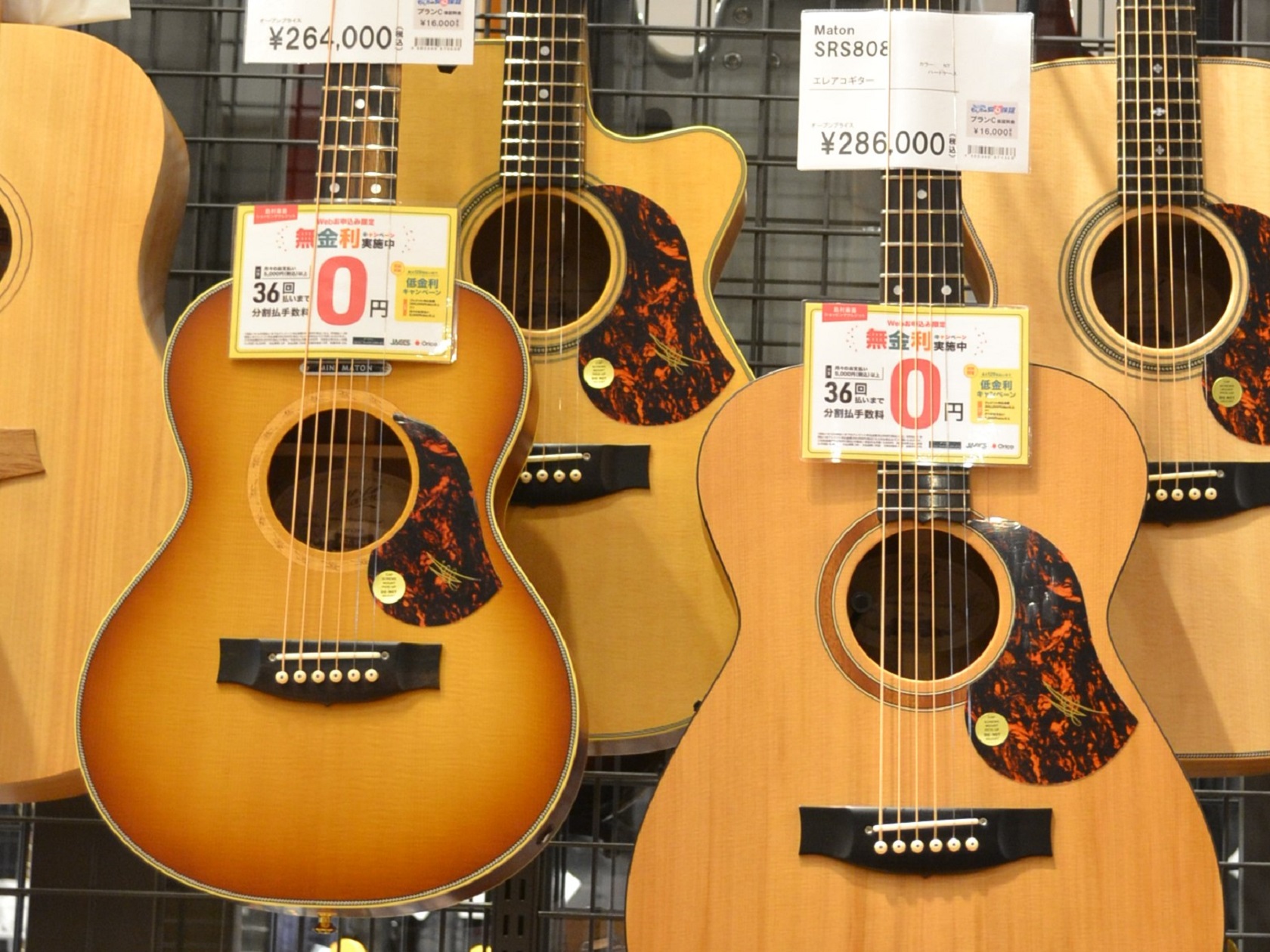 アコースティックギター】MATONアコギ 3本入荷しました｜島村楽器