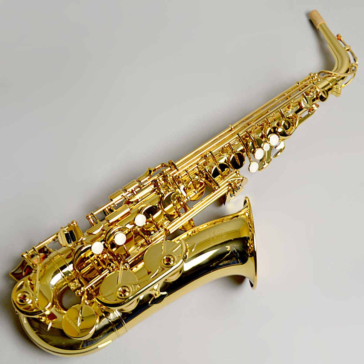 終了いたしました【管楽器】アルトサックスセレクトフェア 2024/11.1