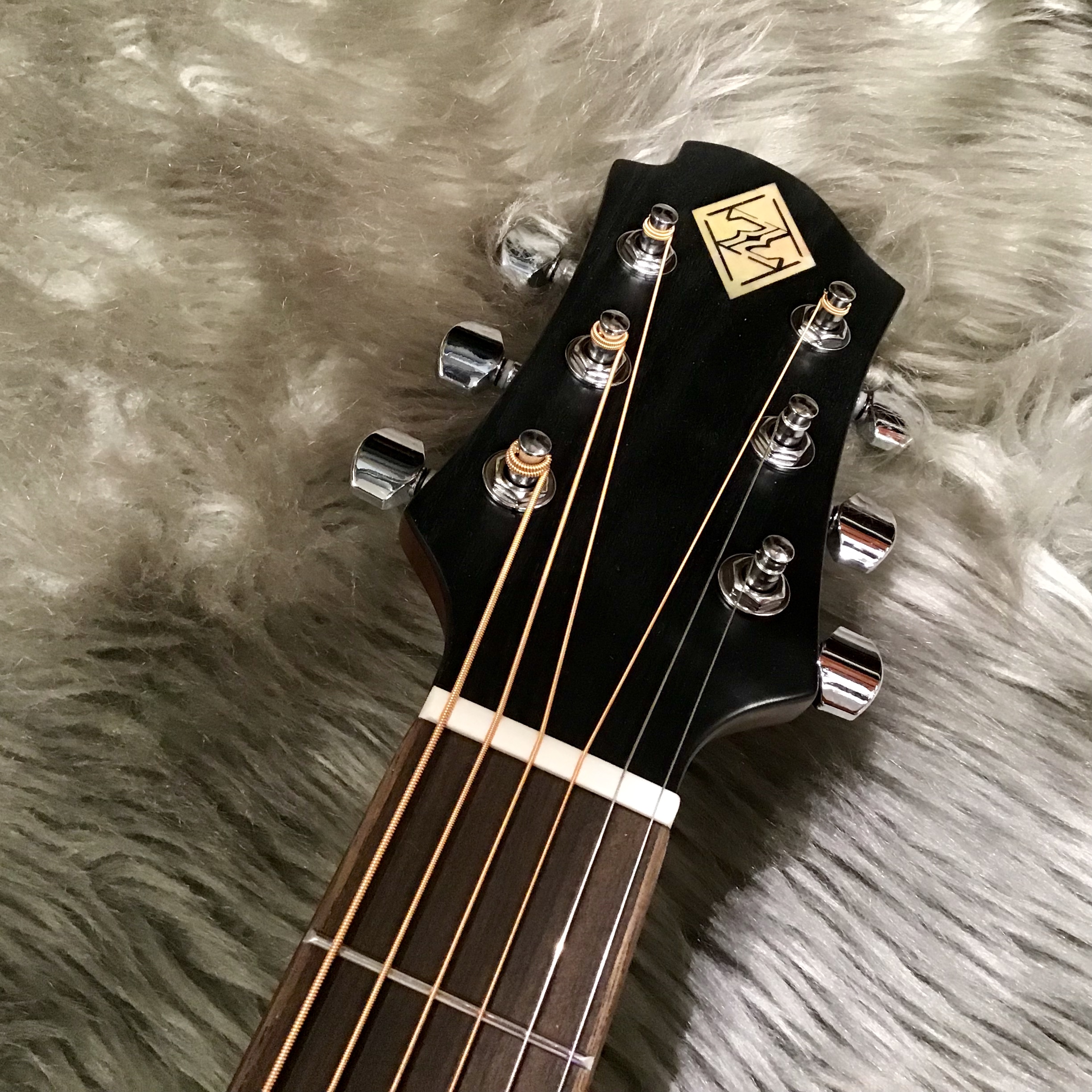 エレアコギター】ZEMAITIS CAF-80H｜島村楽器 イオンモール直方店