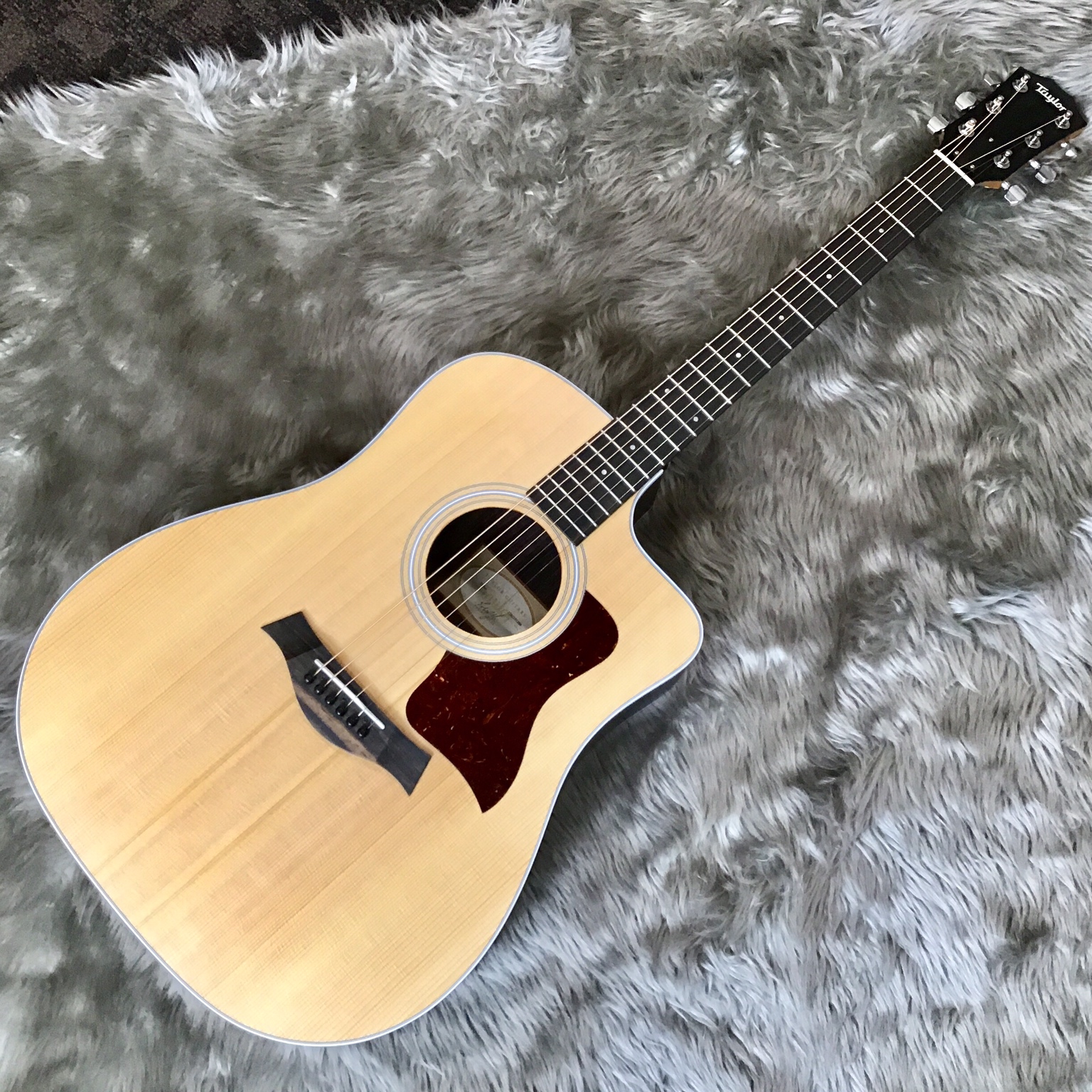 エレアコギター】Taylor 210ce Rosewood｜島村楽器 イオンモール直方店