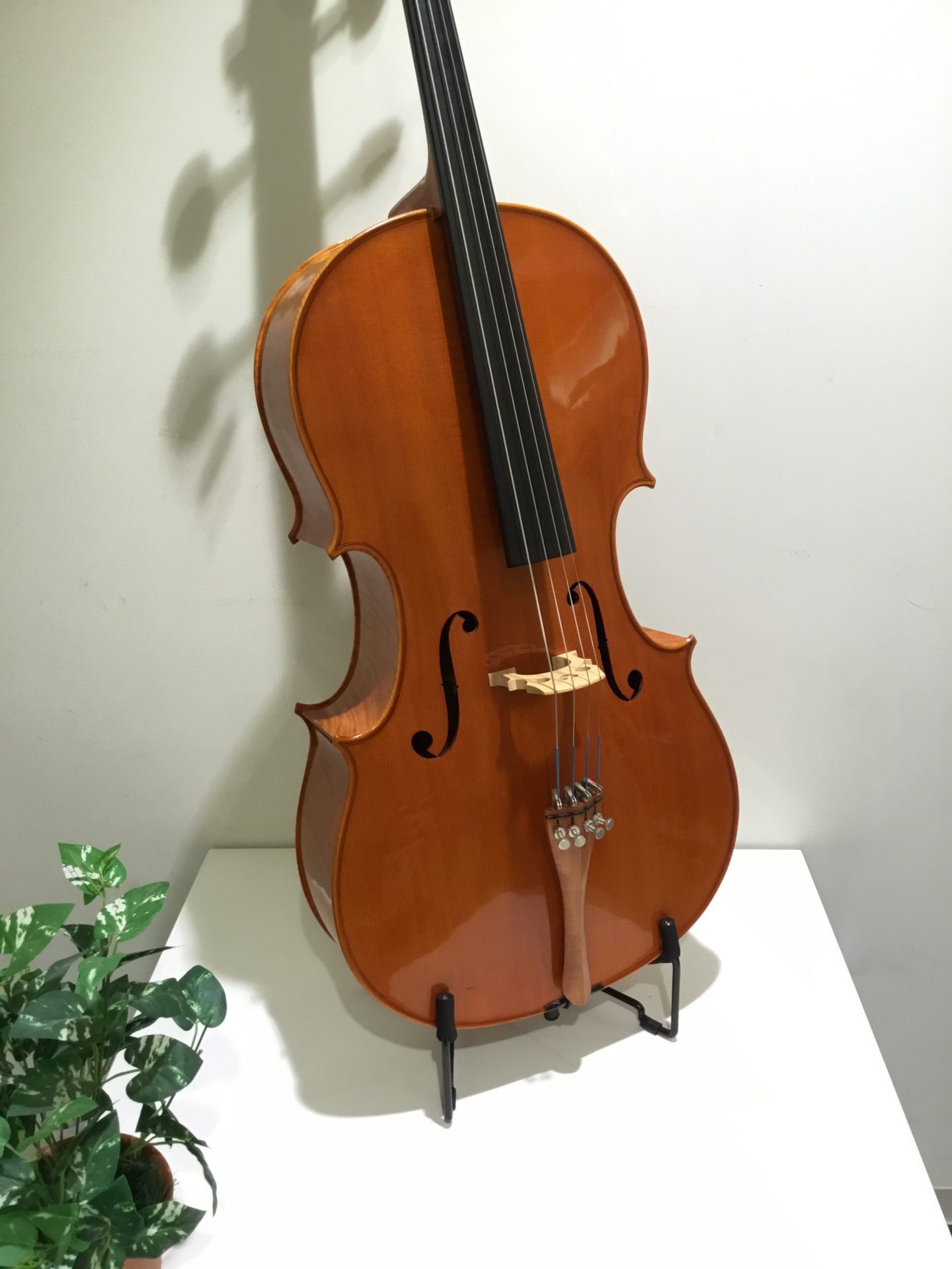 中古チェロセット 入荷のご案内｜島村楽器 札幌クラシック店