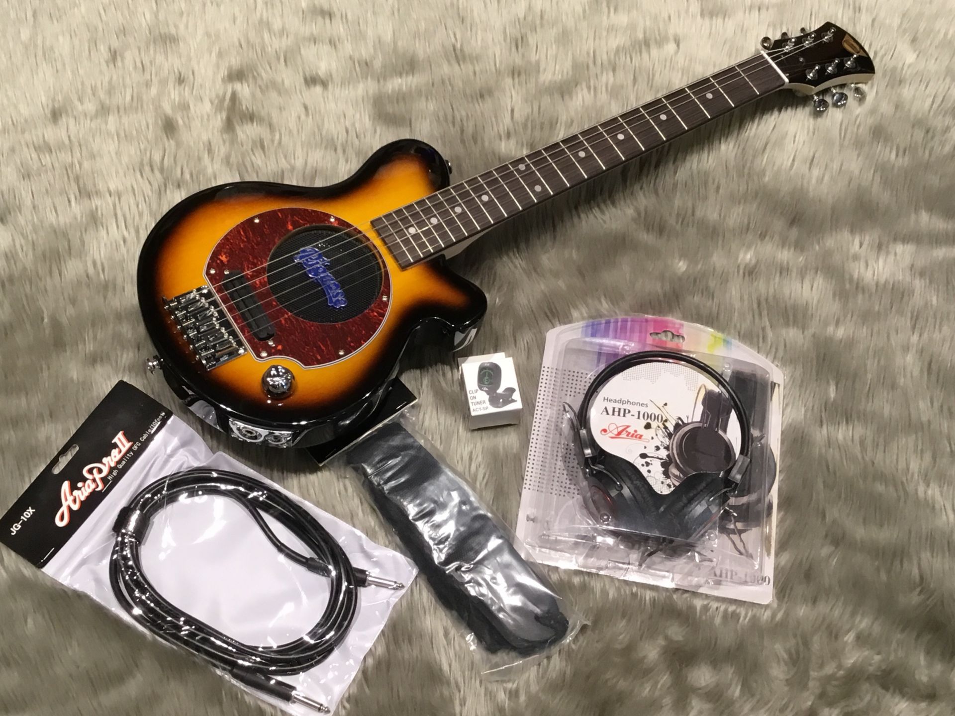 お得なセット付きアンプ内蔵ギター】春にはPignose持って出かけよう