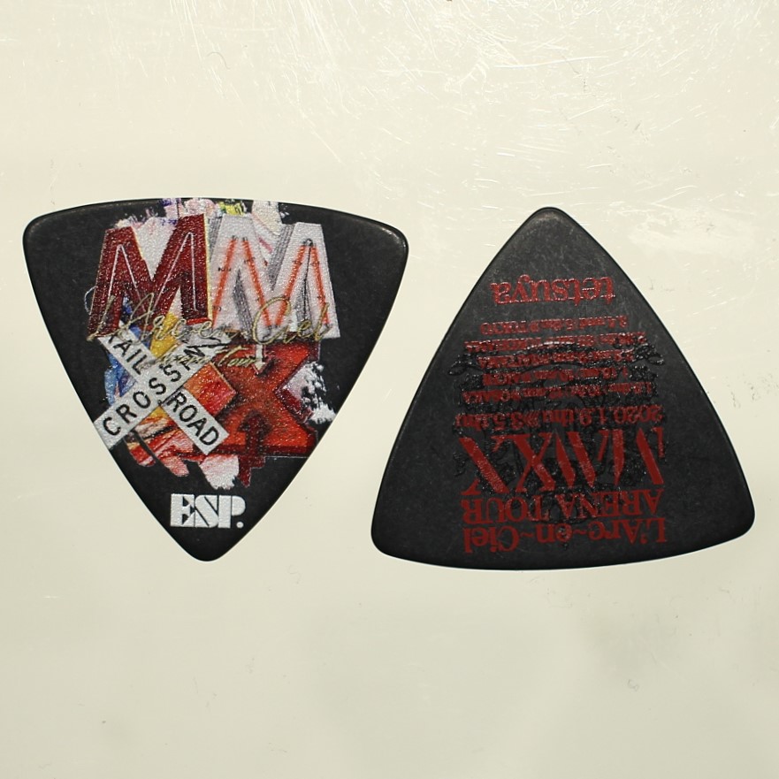 ピック】L'Arc～en～Ciel ARENA TOUR MMXX tetsuya Pick 3色入荷