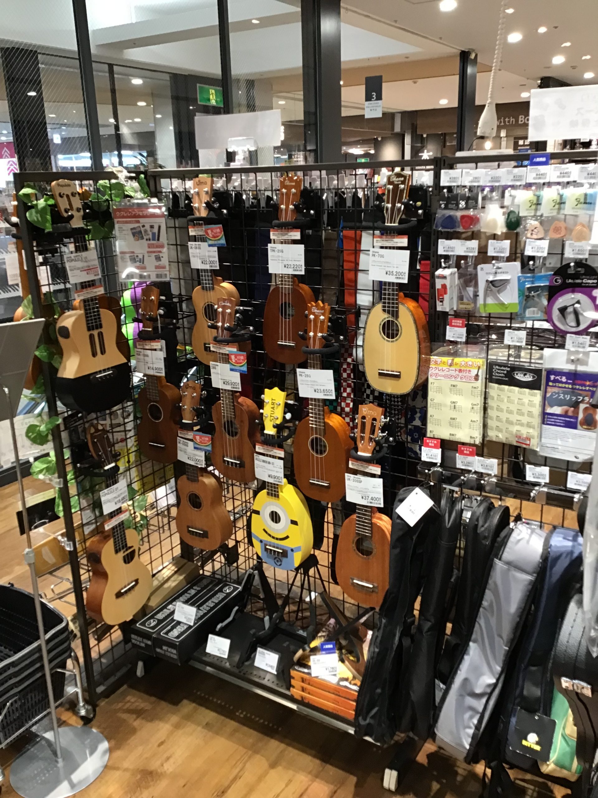 ウクレレ】パイナップル祭り開催中！！～8月15日(日)まで｜島村楽器