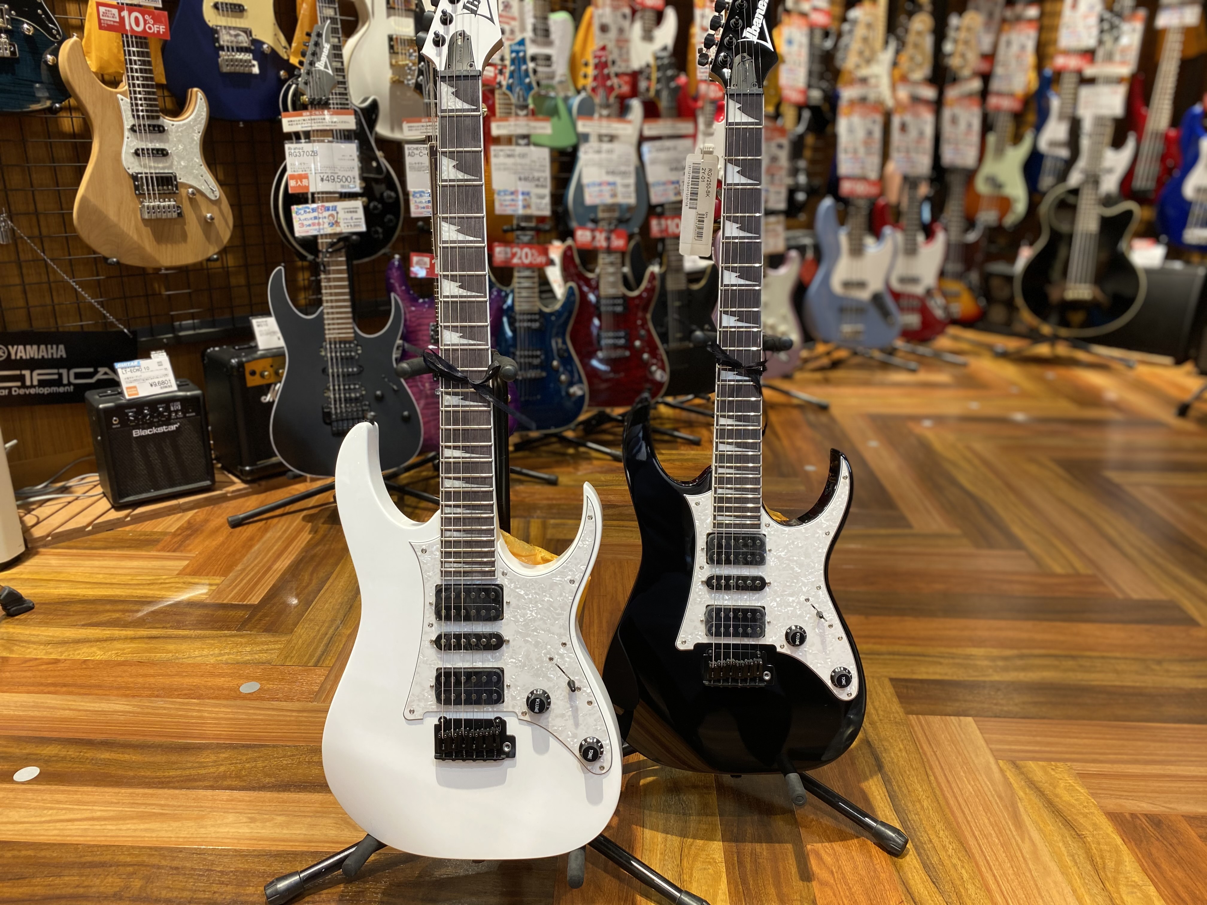 島村楽器限定！初心者にも扱いやすいIbanez RGV250が入荷！｜島村楽器
