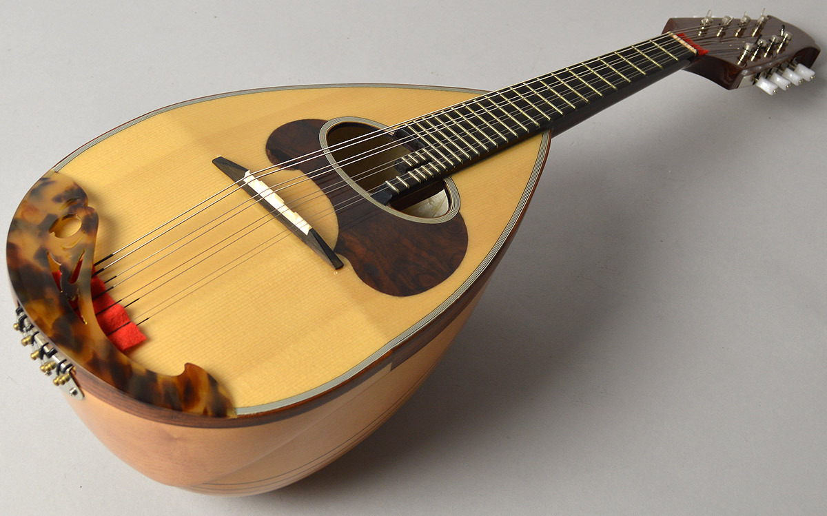 Calace、Vinaccia、当店展示中のマンドリンをご紹介いたします！｜島村