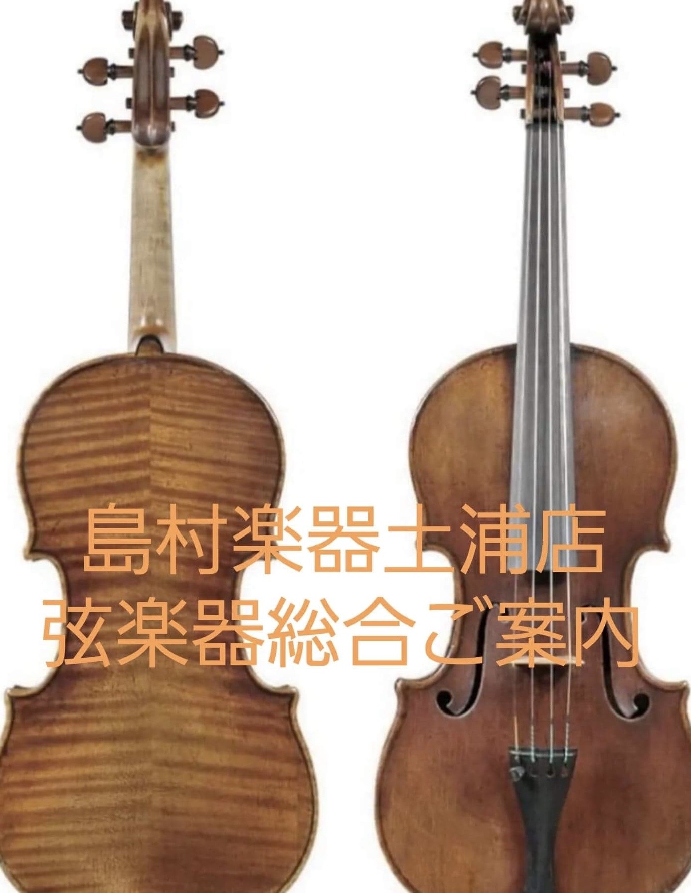 ヴァイオリン/ヴィオラ/チェロ/コントラバス】弦楽器をお探しなら土浦