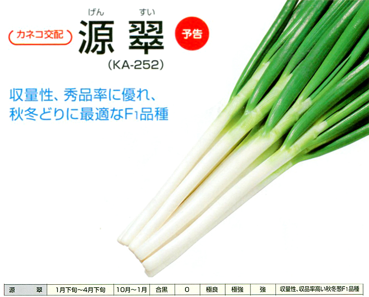 ネギ種子】 カネコ交配 「源翠（げんすい）」 野菜と花の種・苗・緑肥