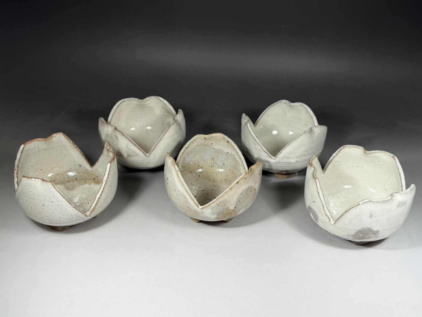 人間国宝 十二代 中里太郎衛門 (無庵) 唐津 粉引割山椒 向付 | 新栄堂