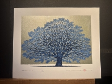 並木 一｜Hajime Namiki】｜ギャルリーしんくら -Galerie Shinkura-