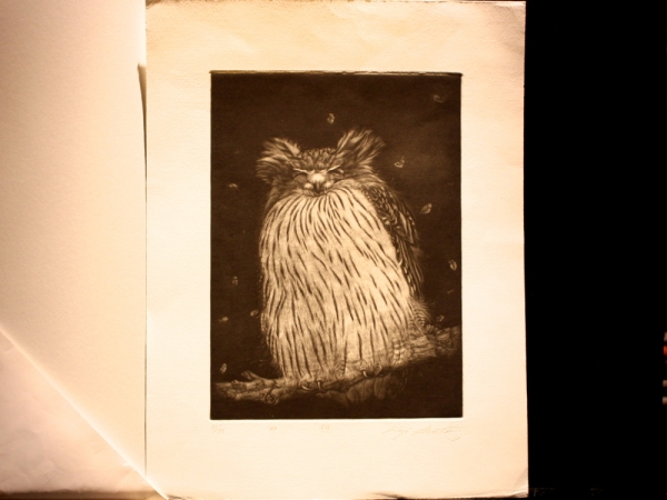 生田 宏司｜Koji Ikuta】｜ギャルリーしんくら -Galerie Shinkura-