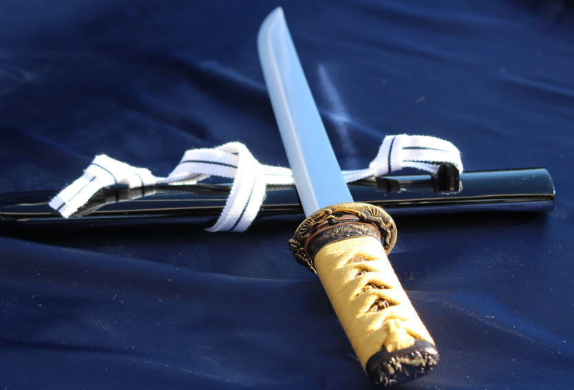 豊臣秀吉の刀【一期一振 いちごひとふり】【骨喰藤四郎 ほねばみとうし