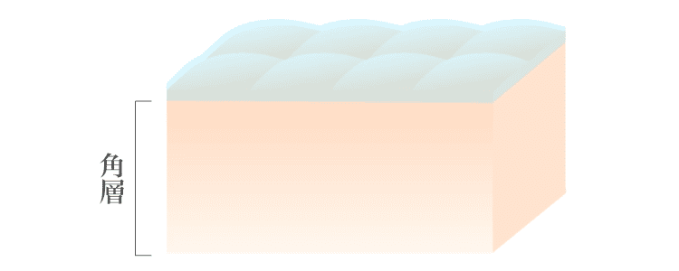 スキンラップ｜リバイタル（REVITAL）｜資生堂