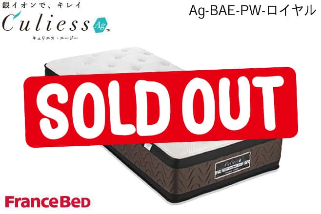 フランスベッド 「キュリエス・エージー™」AG-BAE-PW-ロイヤル | 福岡