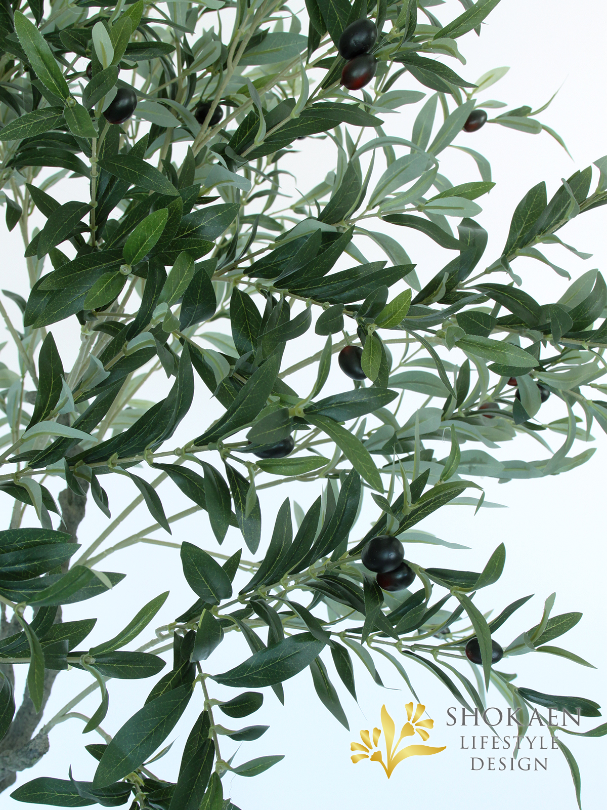 フェイクグリーン0001】オリーブ A-50910 - 株式会社正花園