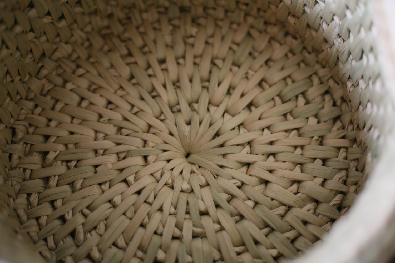 わらむ - わらいずみ 全国送料無料 | 職人.com