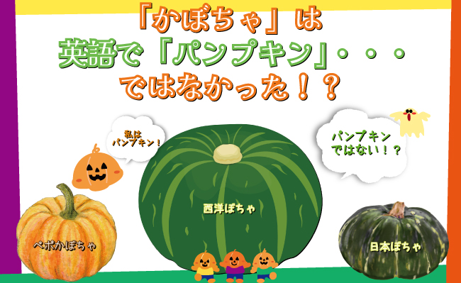 かぼちゃ」は英語で「パンプキン」・・・ではなかった！？ | 食宣伝