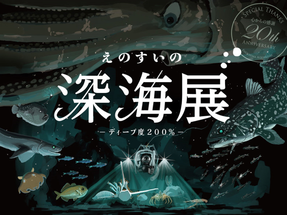 藤沢・江の島】えのすいの深海展 ―ディープ度200％― - とことこ湘南