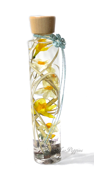 ハーバリウム・日本水仙|フラワーギフトMaryPoppins