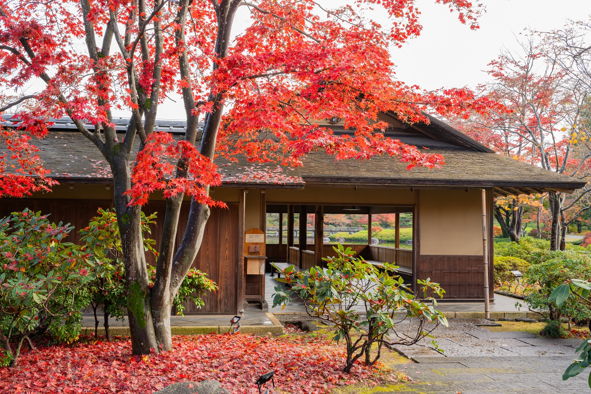 日本庭園 – 国営昭和記念公園公式ホームページ