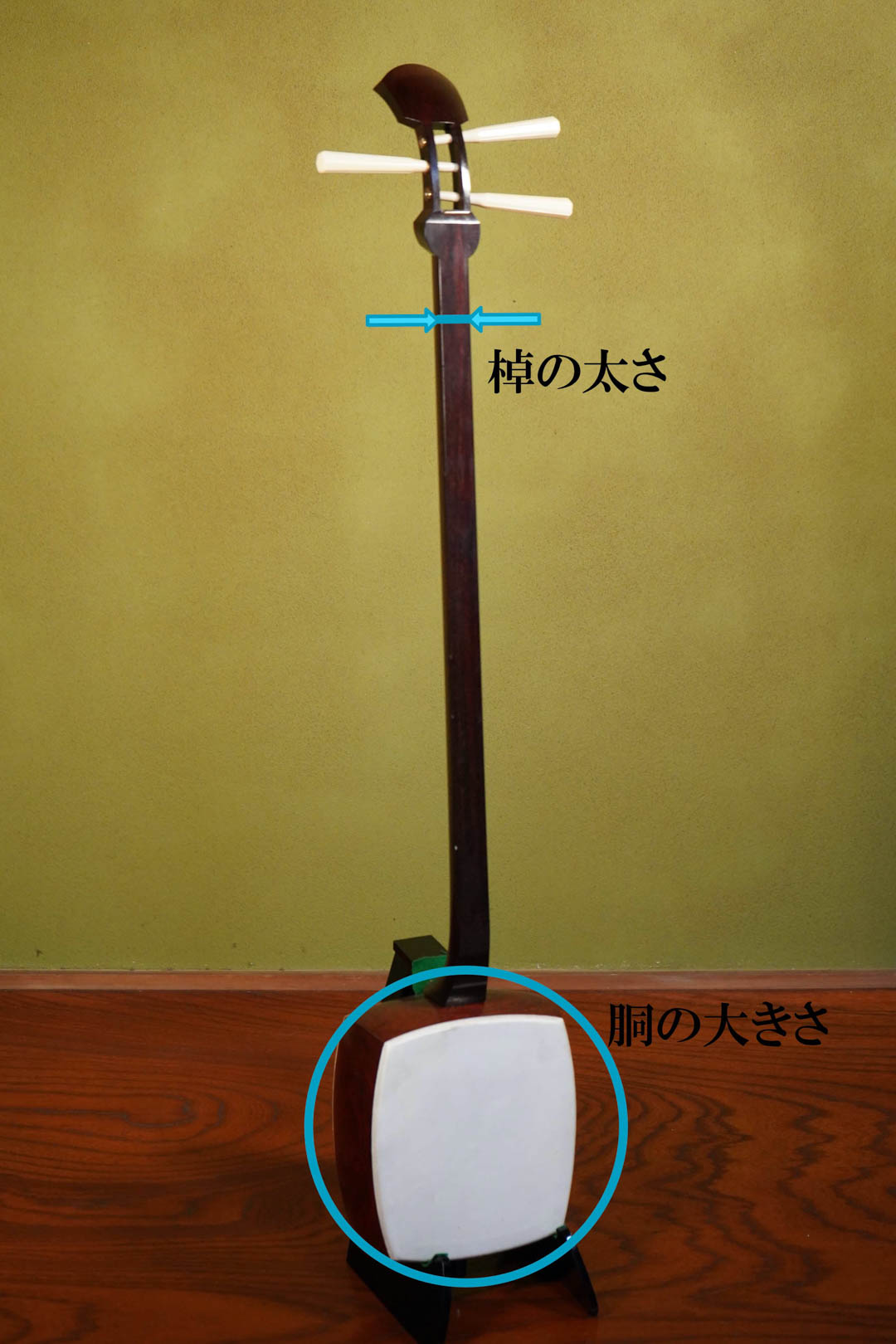 最新：三味線の選び方/価格相場・値段、お店、種類、材質、ジャンル