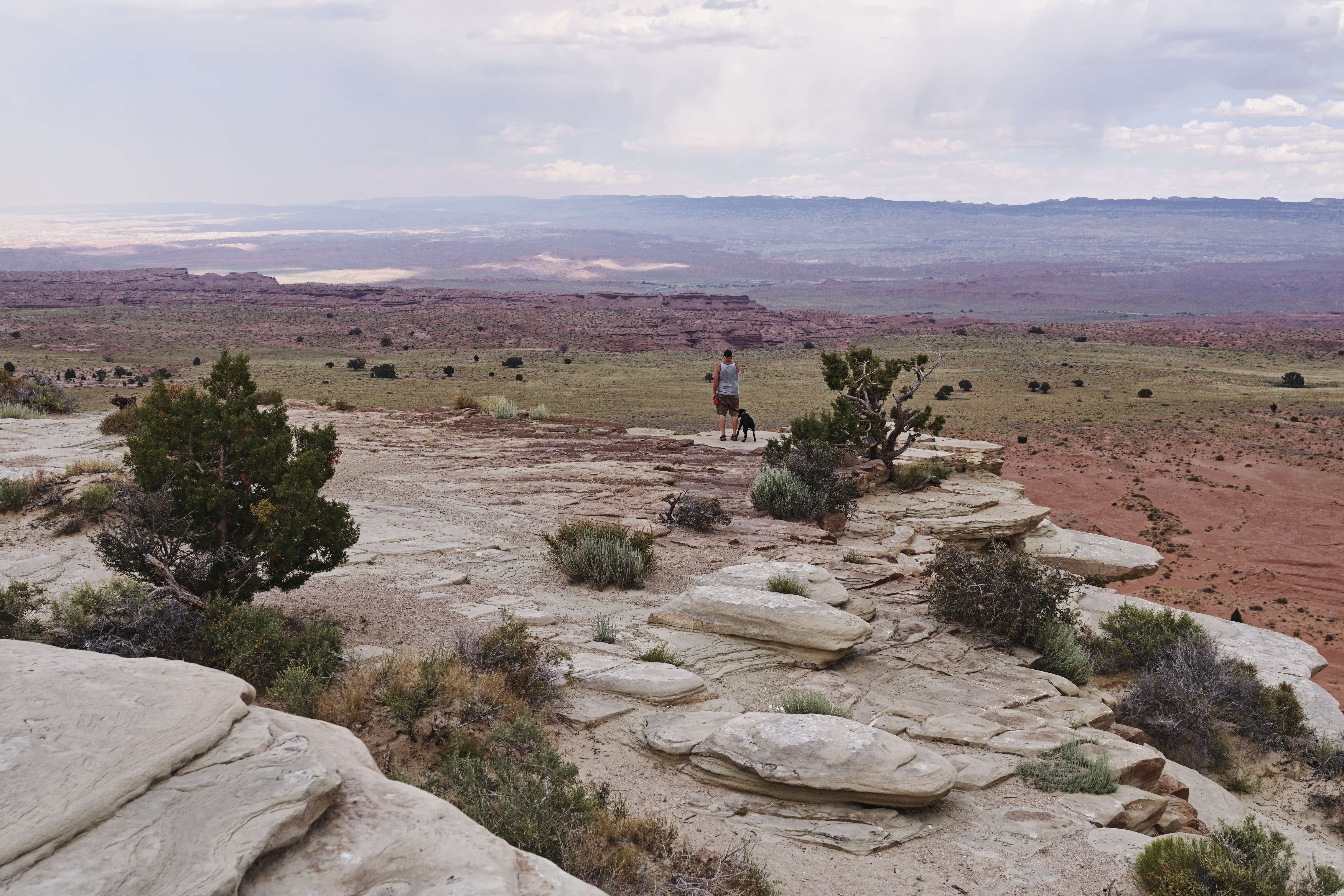 ガブリエル・ゴダール「眺めのいい岩場」 【公式通販】