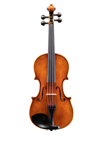 30th Anniversary VL830：弦楽器：メーカー：イーストマン（Eastman