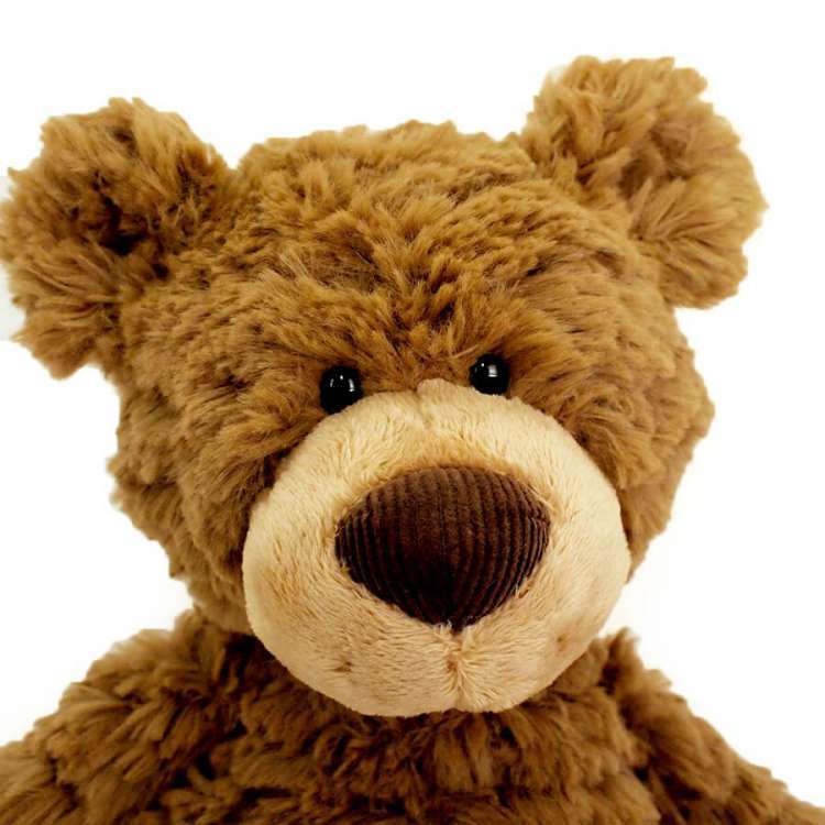 GUND ガンド ぬいぐるみ ピンチー ブラウン テディーベア テディベア