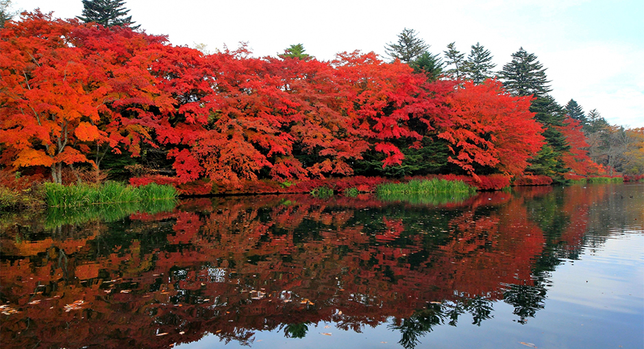 2025年】軽井沢・佐久周辺地域の絶景紅葉スポット特集