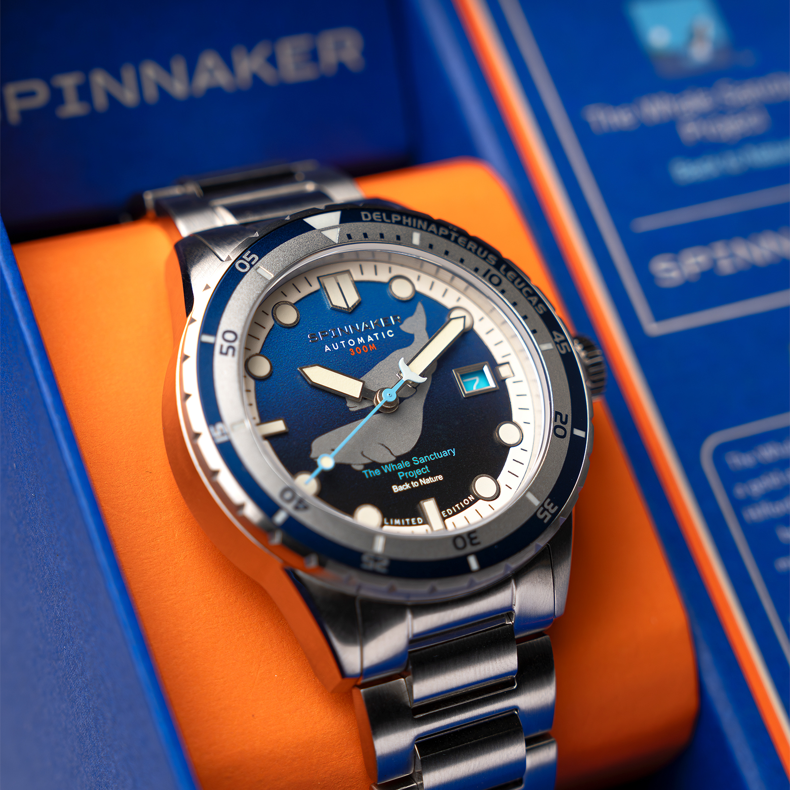 SP-5128-33 | COLLECTION | SPINNAKER | スピ二カー 時計公式サイト