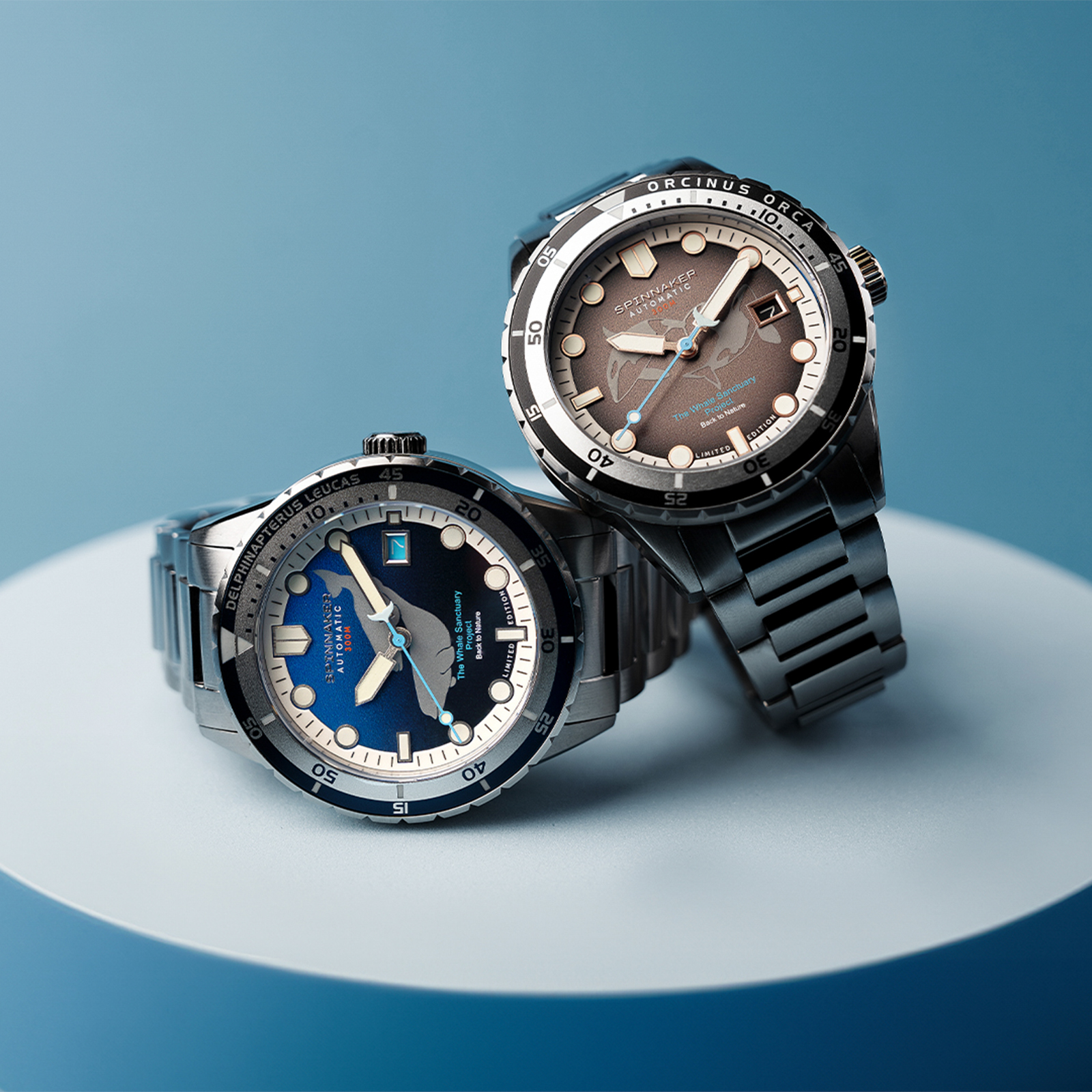 SP-5128-44 | COLLECTION | SPINNAKER | スピ二カー 時計公式サイト