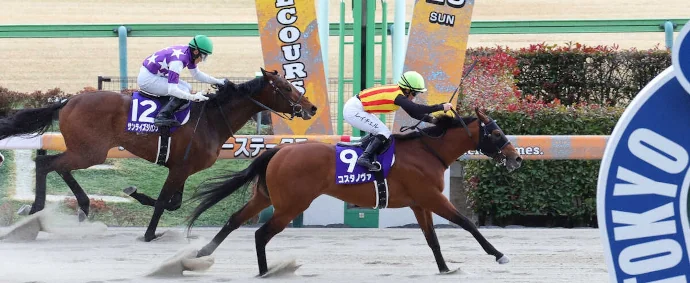 パンサラッサ 種牡馬でイクイノックスに勝つ 中山競馬場で引退式 矢作