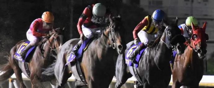 94年天皇賞・秋制覇 ネーハイシーザー死す - スポニチ競馬Web