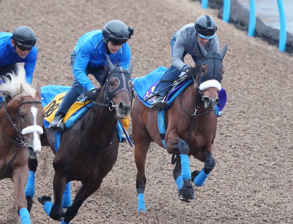 ジャパンC】アーモンドアイ、出来万全99％！大団円ルメールと確信