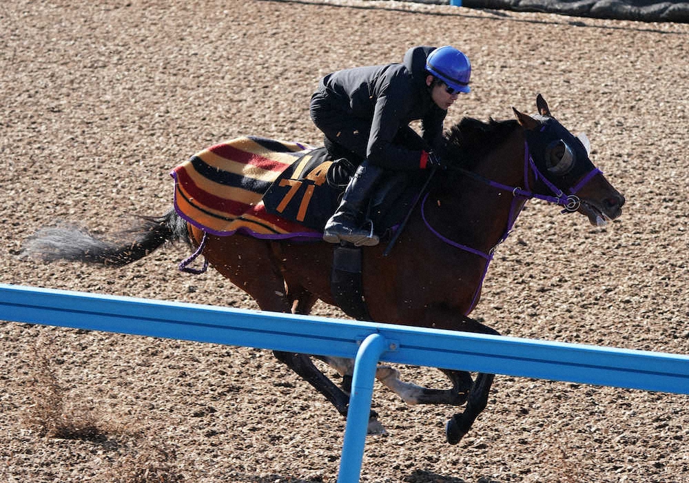 きさらぎ賞】ランドオブリバティ、ハミ替えて快走！特殊馬具で“悪童