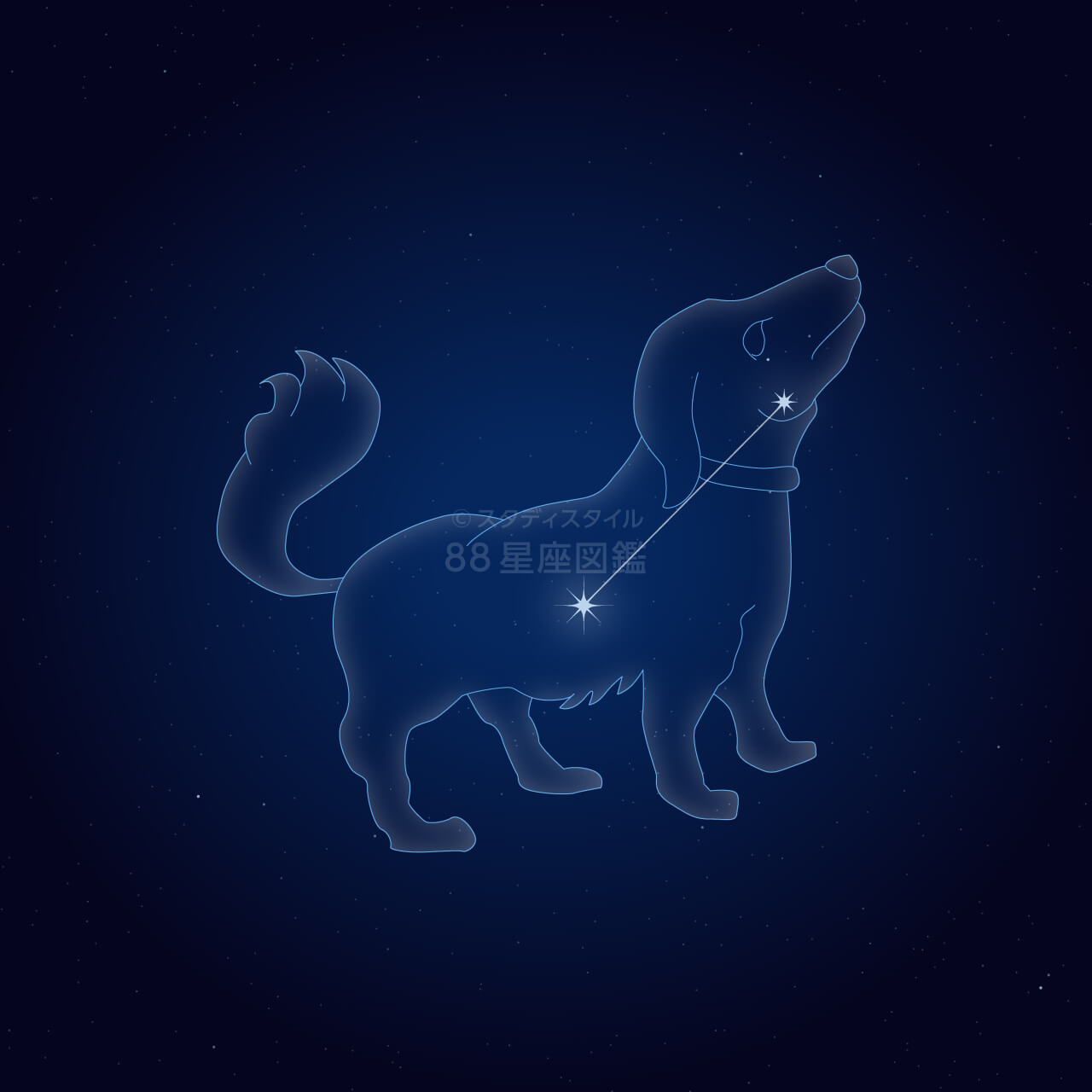 こいぬ座｜やさしい88星座図鑑