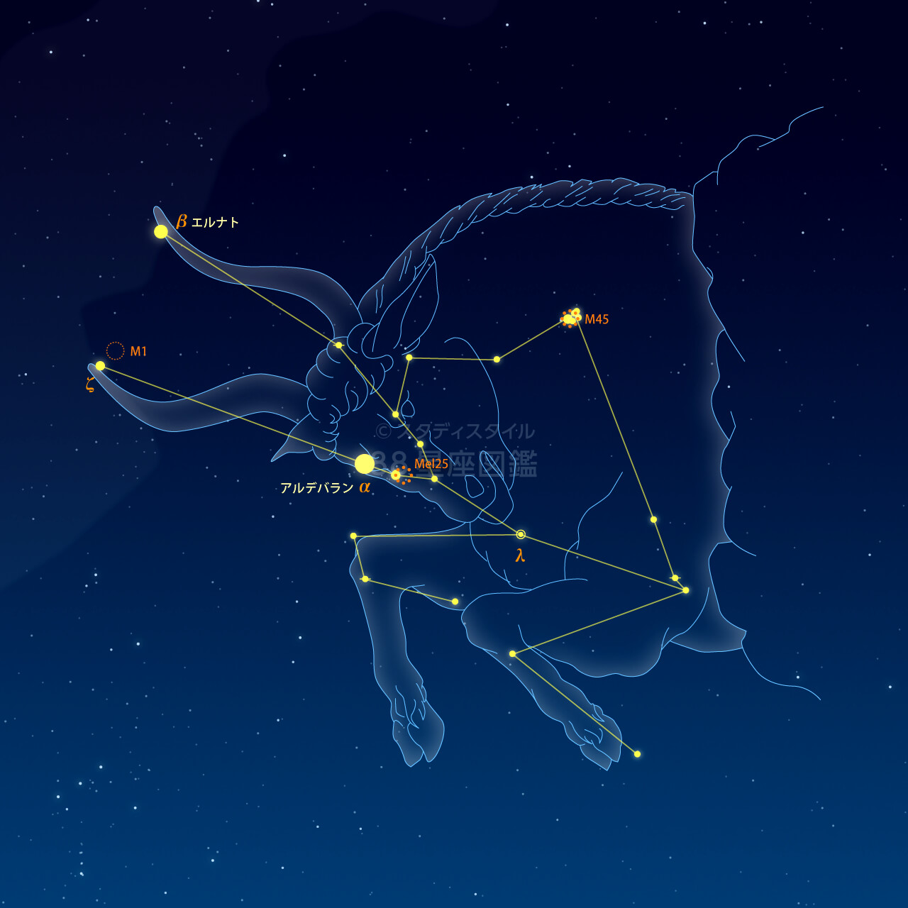 おうし座（牡牛座）｜やさしい88星座図鑑