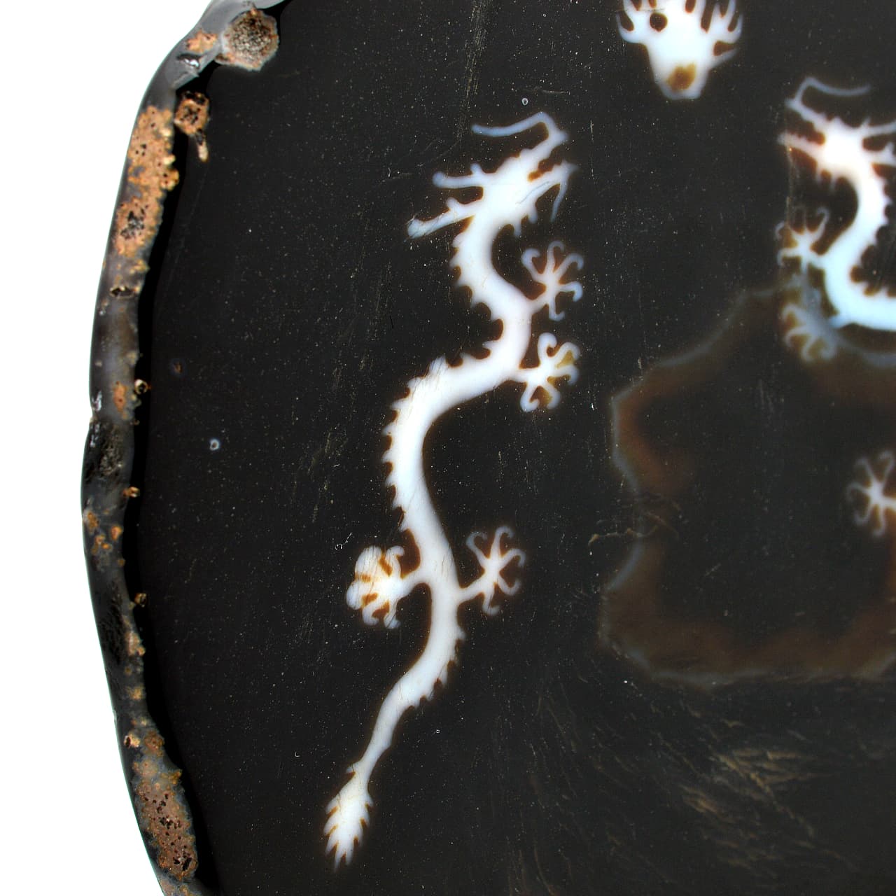 皇帝龍天珠(龍神天珠)五本爪 板状タイプ - 約13.5cm【台座付