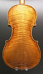 弦楽器ストラッド / Guarnerius Joseph 1743 イタリア